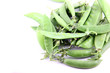 The String bean is arrangement the stack together.