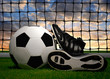soccer ball and shoes in grass
