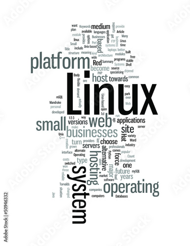 Vector: Linux options for Small Businesses Linux options for Small Businesses