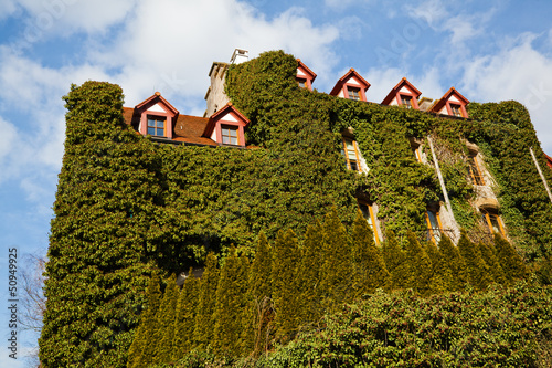 Photo: von Ranken überwachsenes Haus in Rothenburg von Ranken überwachsenes Haus in Rothenburg