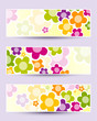 Banner with camomiles