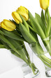 Gelbe Tulpen