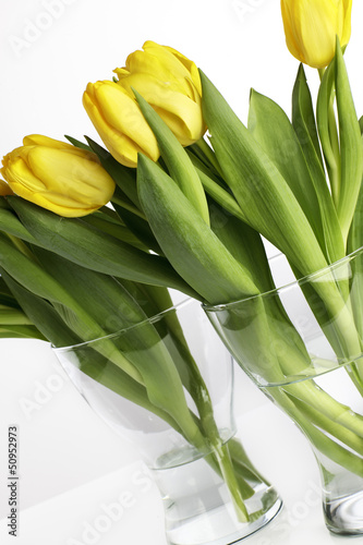 Photo: Gelbe Tulpen Gelbe Tulpen