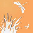 Dragonflies