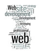 Web development services