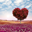 Heart shaped Tree red foliage, valentines day