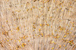 cricle of Dried leaves of the nipa palm leaf roof pattern