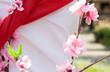 plastic wreath of Apple blossom flowers with sunlight.