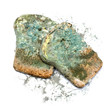 mold bread
