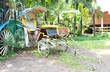 Vintage old color three wheels bicycle