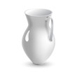 White pitcher