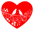 love birds