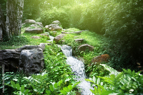 Photo: river in jungle river in jungle