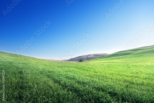 Photo: hills in sunny day Tuscany, Italy hills in sunny day Tuscany, Italy
