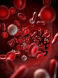 3d rendered illustration of the human blood