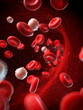 3d rendered illustration of the human blood