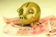 piggy bank and one-hundred rmb bill