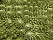 Abstract Cauliflower