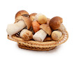 Boletus edulis isolated on white background