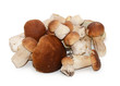 Boletus edulis isolated on white background