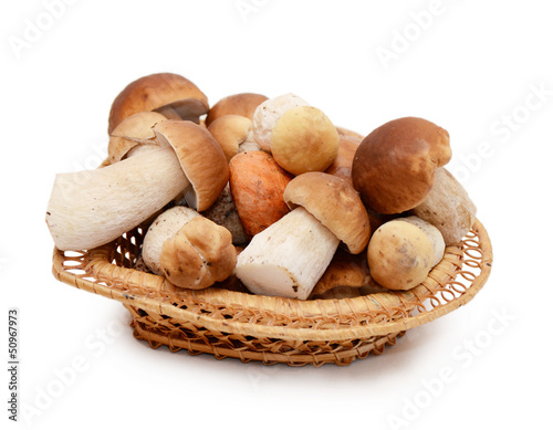 Photo: Boletus edulis isolated on white background Boletus edulis isolated on white background
