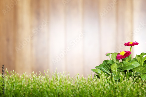Photo: Wooden background and grass Wooden background and grass