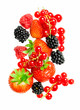 Photo: berrys berrys