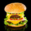 Tasty and appetizing hamburger