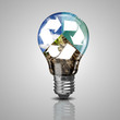 Electric light bulb and a plant inside it
