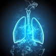 Schematic illustration of human lungs
