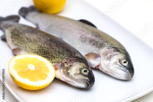 Photo: Raw trout fish with lemon slices Raw trout fish with lemon slices