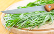tarragon
