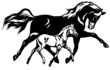 mare with foal