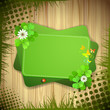 Vector: Green background with clover over wood background Green background with clover over wood background