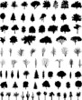 vector_trees