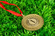 Gold medal on grass background