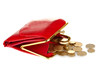 female red wallet with coins isolated on white