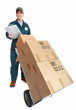 Delivery postman.