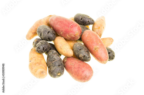 Photo: Colorful potatoes isolated on white Colorful potatoes isolated on white