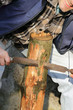 Photo: wood carver wood carver