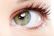 Woman eye.