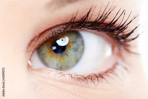 Photo: Woman eye. Woman eye.