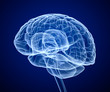 Brain scan, X-ray