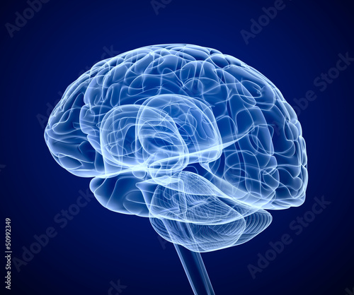 Illustration: Brain scan, X-ray Brain scan, X-ray