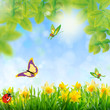 natur