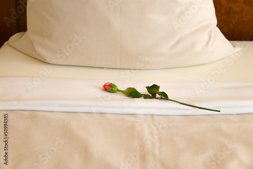 Photo: Rose auf dem Bett Rose auf dem Bett