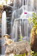 beauty of waterfall in thailand