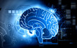 Brain