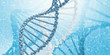 DNA molecule