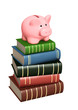 Money for education